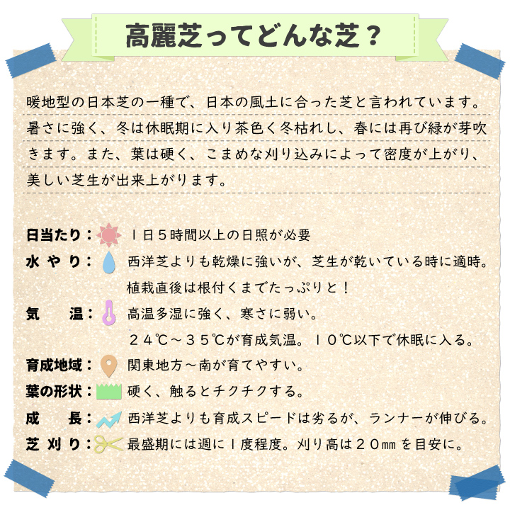 高麗芝ってどんな芝？