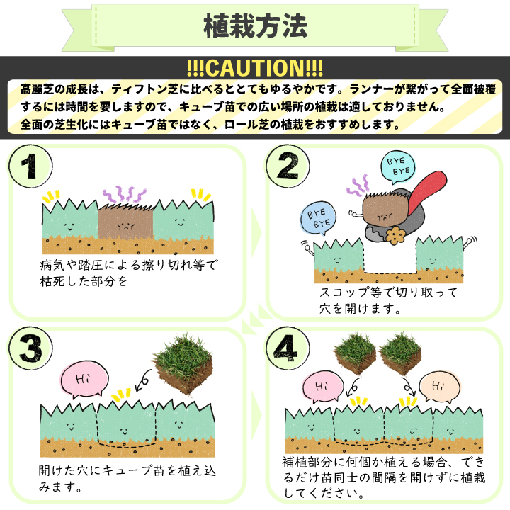 キューブ苗の施工方法1