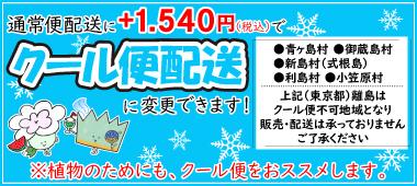 クール便配送