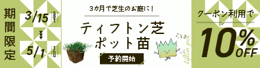 【期間限定】ティフトンポット苗　10％OFFクーポン