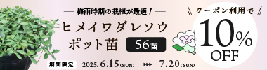 【期間限定】今が植栽最適時 花ポット56苗 10%OFFクーポン