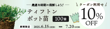 【期間限定】今が植栽最適時 ティフトン苗100苗 10%OFFクーポン