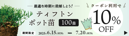 ﾃｨﾌﾄﾝ100苗10％OFF