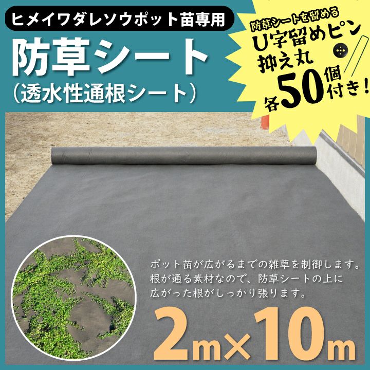 防草シート不織布(グリーン)巾1m×21m 厚み4mm みくみく様専用ページ（9  