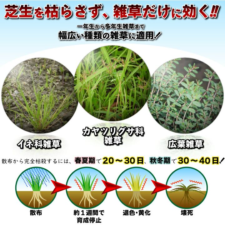 送料無料】芝用除草剤 シバゲンDF（20ｇ）ハマスゲ・ヒメクグ等々の芝生除草 除草剤 | 国分グリーンファーム公式通販オンラインストア