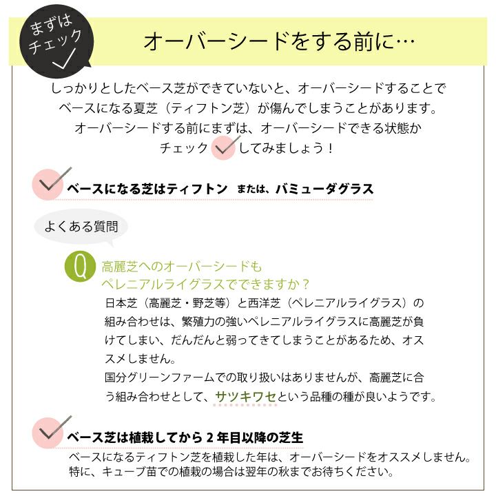 送料無料 ペレニアルライグラス 種 １kg ティフトン芝 常緑 オーバーシード 冬芝種 追い撒き用 芝生種 芝種 国分グリーンファーム公式通販オンラインストア