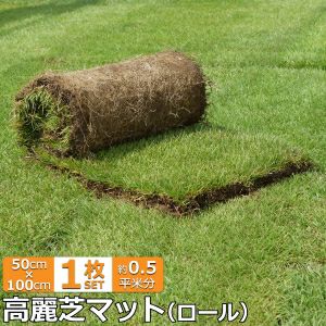 高麗芝 国分グリーンファーム