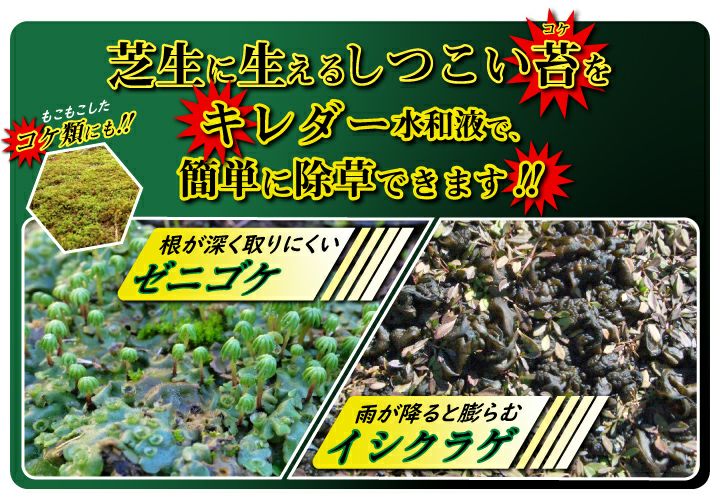 市場 カネショウ キレダー コケ用除草剤