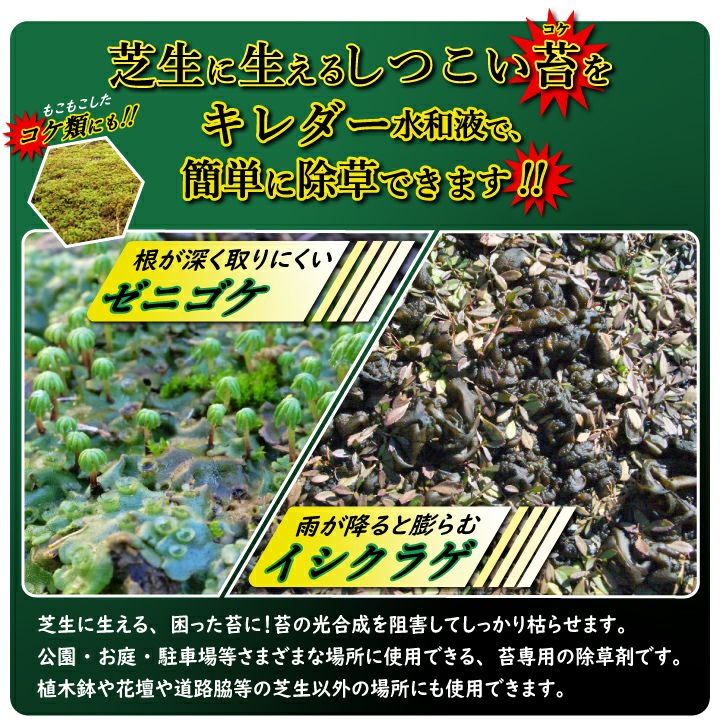 送料無料】ゼニゴケやイシクラゲ、藻類用の除草剤 キレダー水和剤(500g) | 国分グリーンファーム公式通販オンラインストア 送料無料】ゼニゴケやイシクラゲ、藻類用の除草剤 キレダー水和剤(500g) | 国分グリーンファーム公式通販オンラインストア