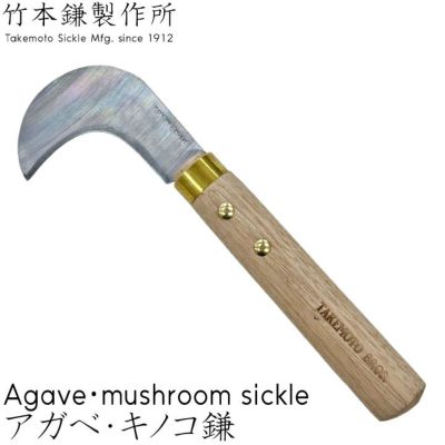 無骨なソイルスティック 即購入OK 長さ200ミリ 根かき棒 アガベ 塊根